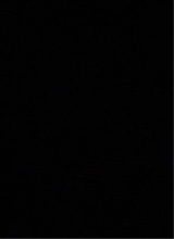 Guest_Wallon2