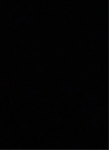 Guest_Wallon2