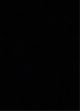 Guest_Wallon2