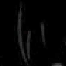 Guest_Rashed0