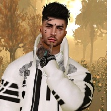 Guest_Jeferson354411