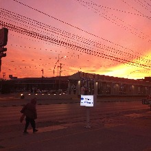 Guest_Leitho02