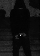 Guest_Colmiro676