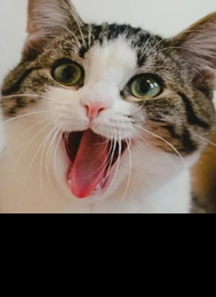 Snuffie