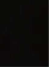 Guest_LovelyVibezz2