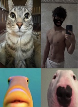 Guest_stevenriv