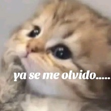 Guest_Amiii26