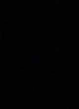 صورة الـavatar