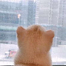 Guest_Hui804502