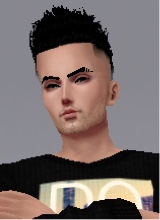 themuffinstuffer