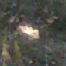 Guest_brenoscat
