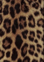 Guest_ashleykaashh