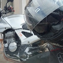 Guest_Max268
