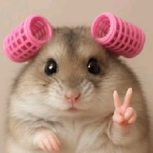 Guest_Pietrapatty
