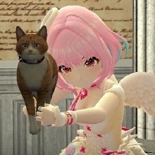 Guest_AyllaDantas