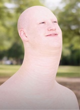 Yvesl