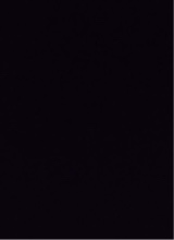 Guest_MiaMiller23
