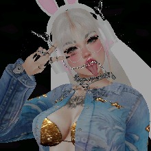 Zevkk