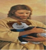 Niretac