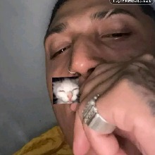 Guest_JuniorSantos13422
