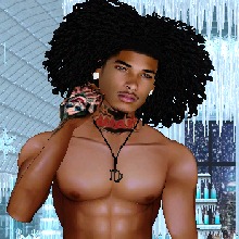 Guest_Drew204081