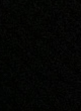 صورة الـavatar