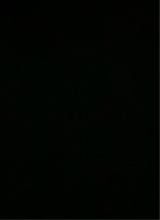 Guest_Jaylon910023