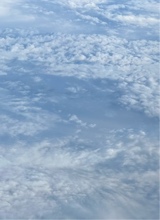 Guest_Solaiii04