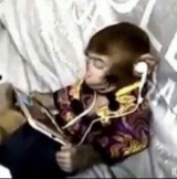 Guest_ILOVESHYA31