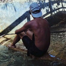 Guest_Pedrin115697