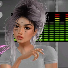 Guest_Lisa563088