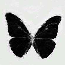 Guest_solanne1
