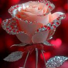 Guest_Louisa139318