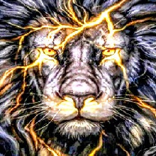 Guest_Hadd2