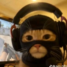 Guest_oZxZxZo