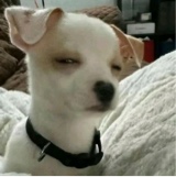 Guest_Millie309226