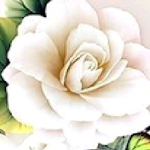 Guest_xxjoyc