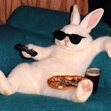 Guest_Hecmati