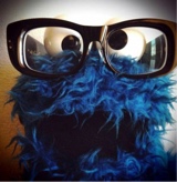Guest_junkiethecoochieman