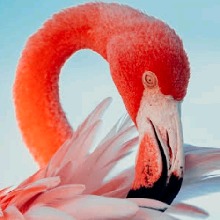 Guest_Weep5