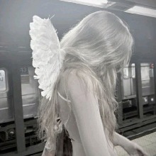 Guest_MichelleS01