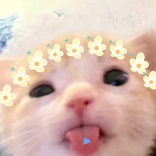 IlIlIIlIlII