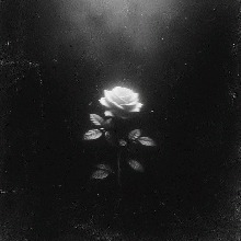 Guest_Endlesslo4ve4