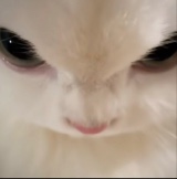 Portrait de l'avatar
