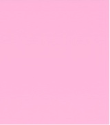 Guest_pandoralida