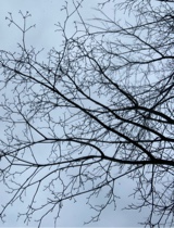 Guest_AlysynneLozar06