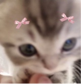 Guest_princesavcx