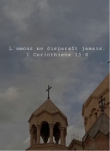 Guest_Sasha0758