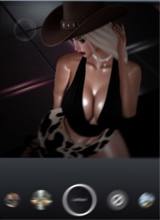 Guest_Camila355346