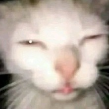 Mifm